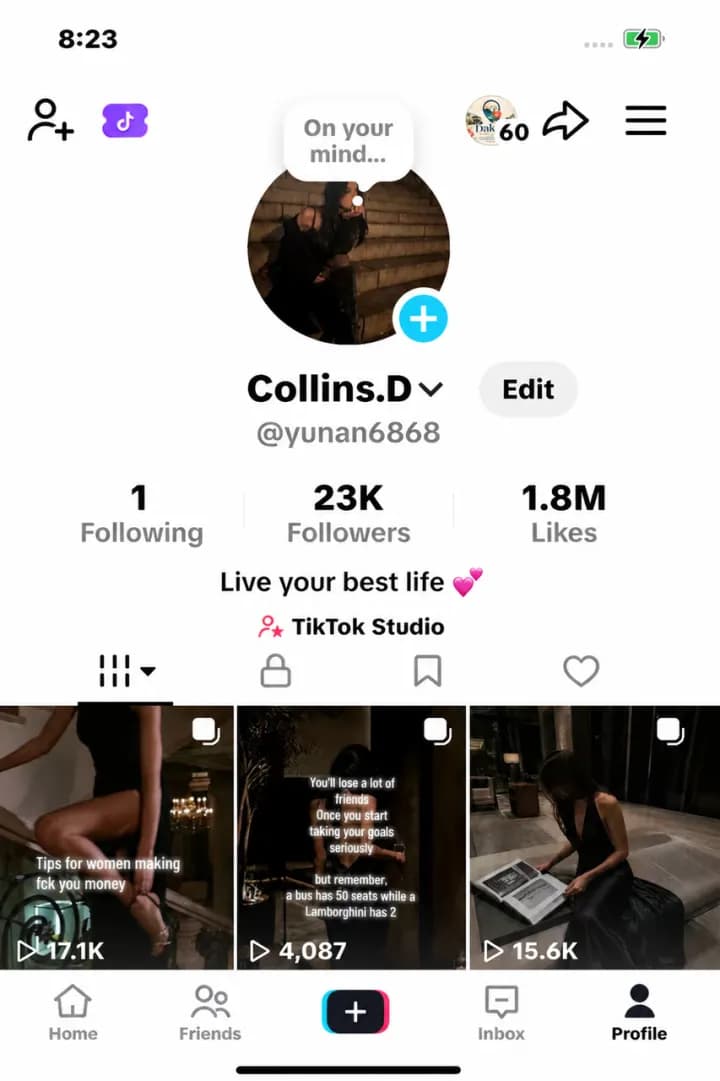 TikTok profile growth screenshot