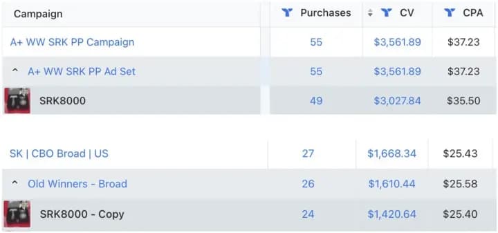 Campaign purchase and revenue results